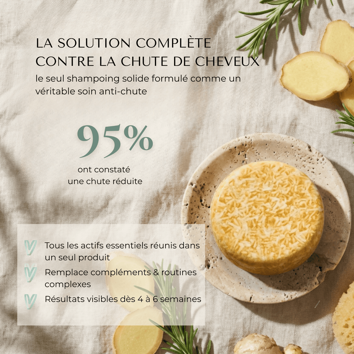 Shampoing Solide Anti - Chute — Élixir Concentré - Yunae Beauty