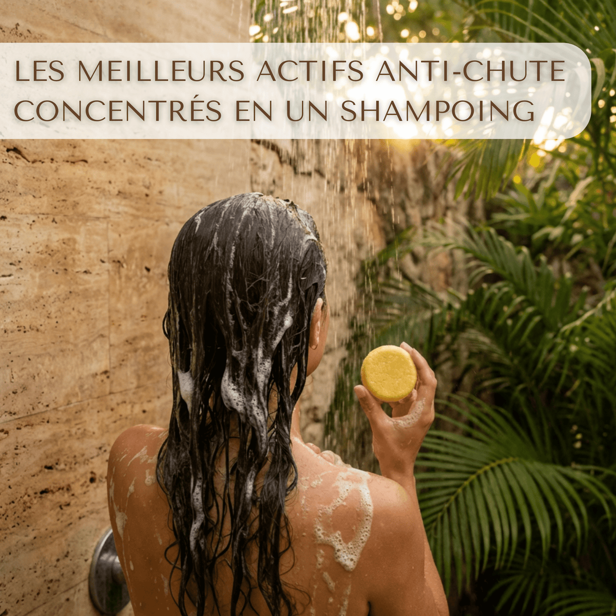 Shampoing Solide Anti - Chute — Élixir Concentré - Yunae Beauty