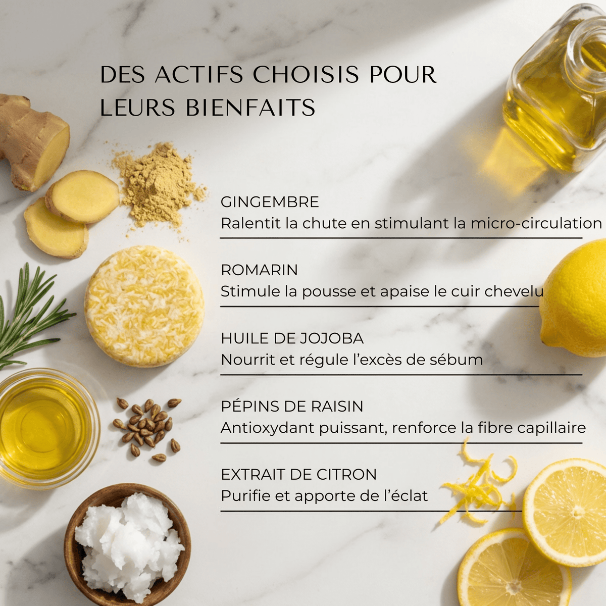 Shampoing Solide Anti - Chute — Élixir Concentré - Yunae Beauty