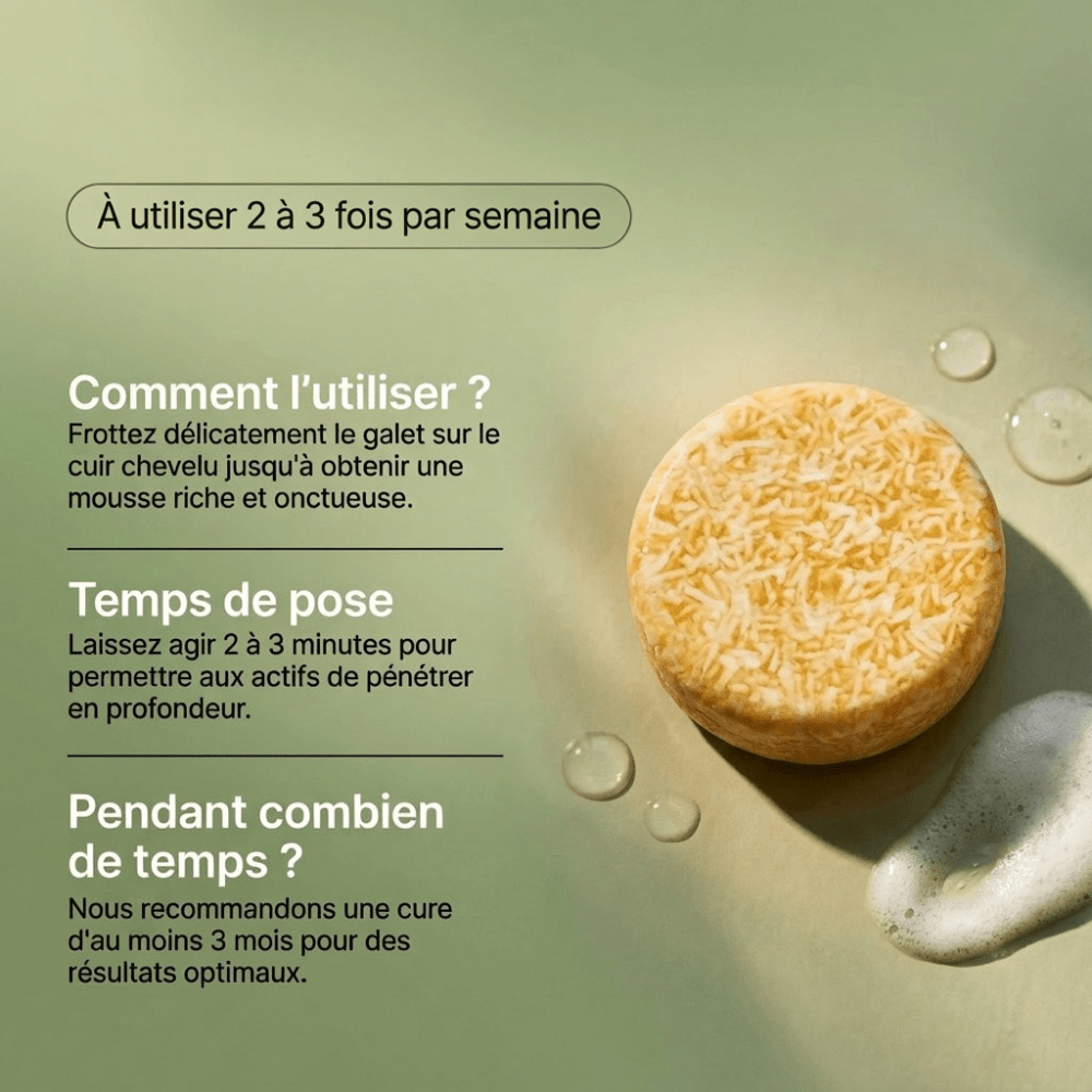 Shampoing Solide Anti - Chute — Élixir Concentré - Yunae Beauty