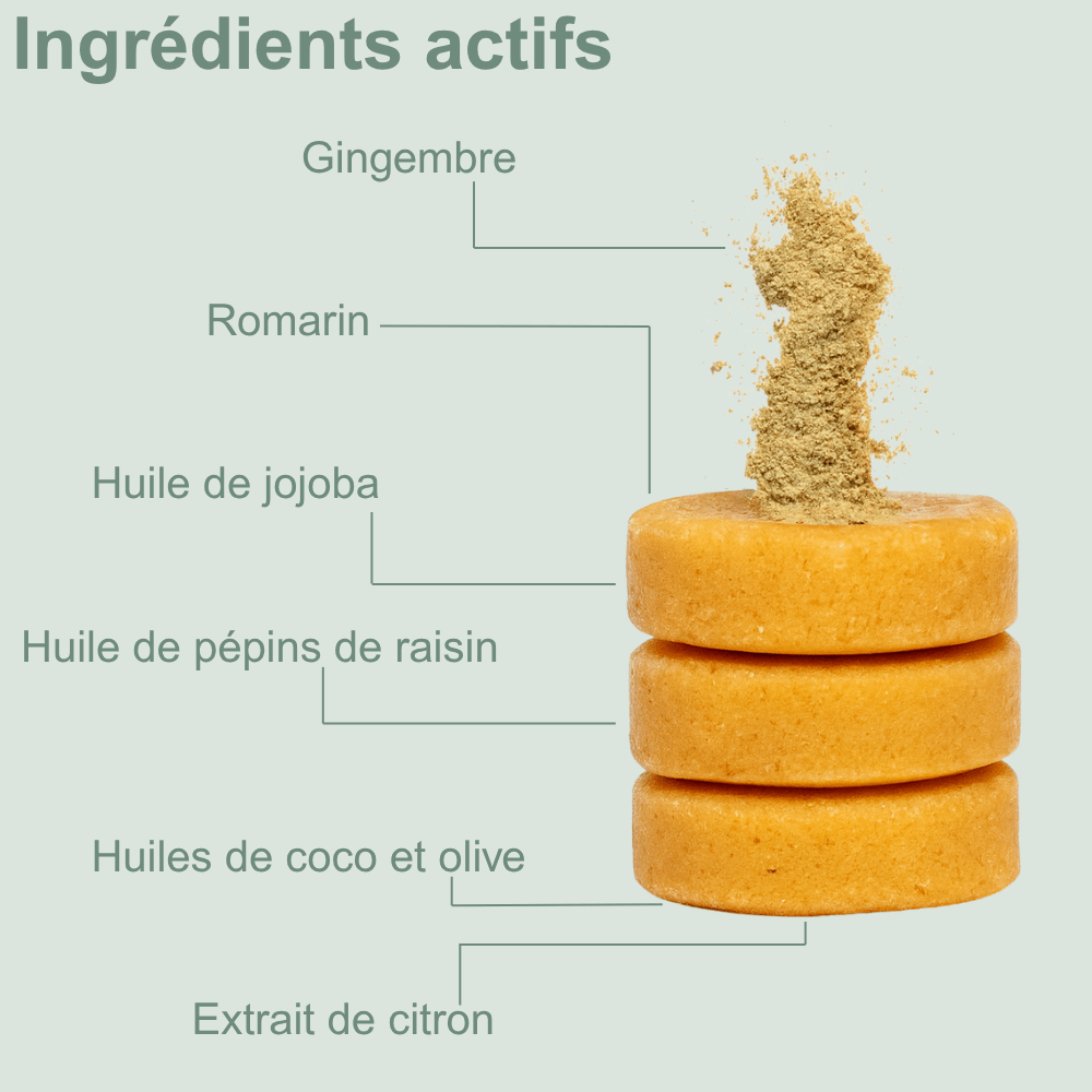 Shampoing solide anti - chute — stimule la repousse et renforce la racine - Yunae Beauty